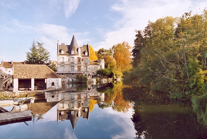 Punaises de lit en Seine et Marne
