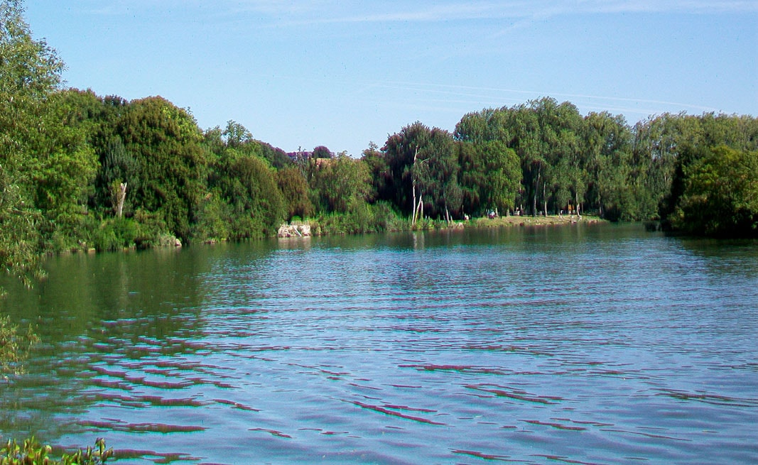 Dératisation dans le Val d'oise