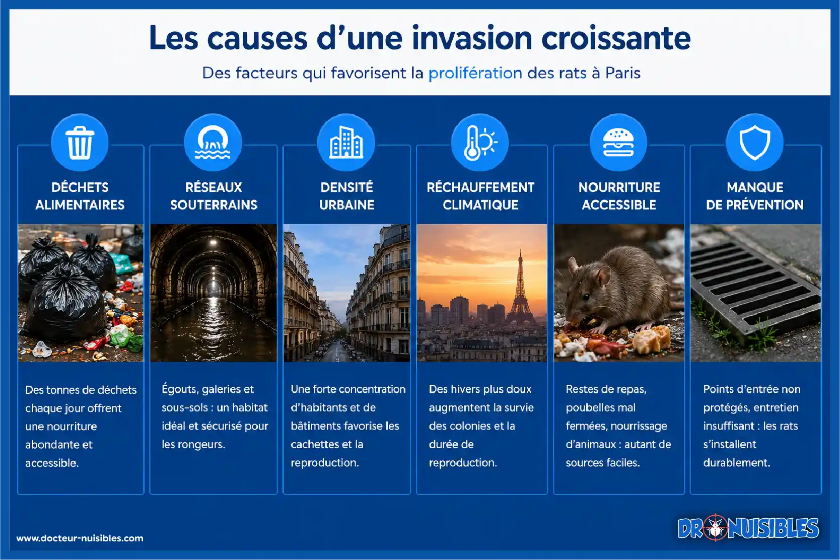 Infographie des six causes favorisant la prolifération des rats à Paris