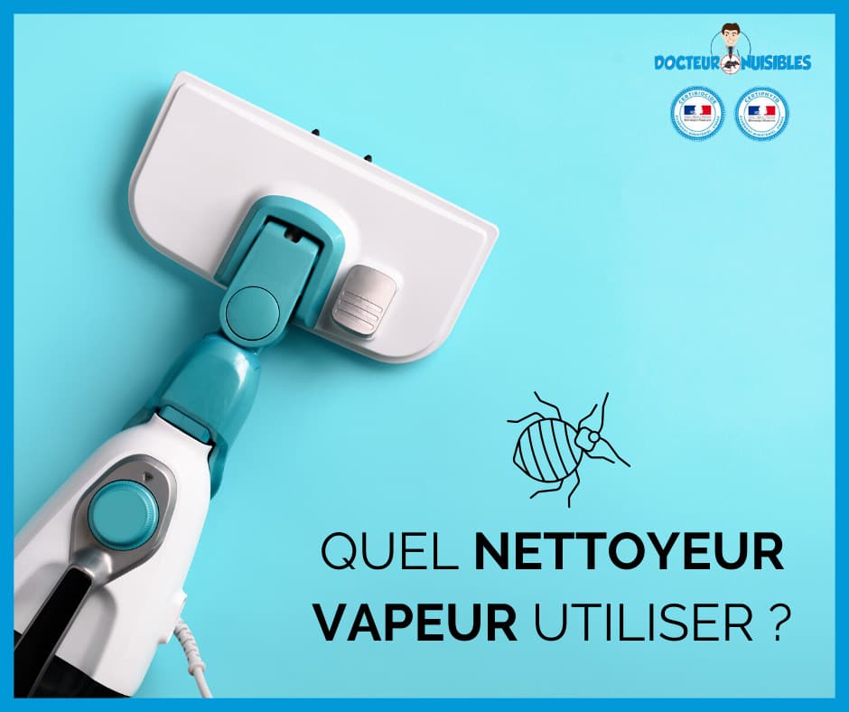 Quel nettoyeur vapeur pour punaise de lit