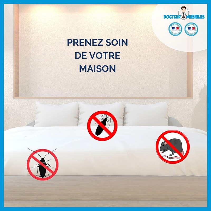 Désinsectiser votre maison