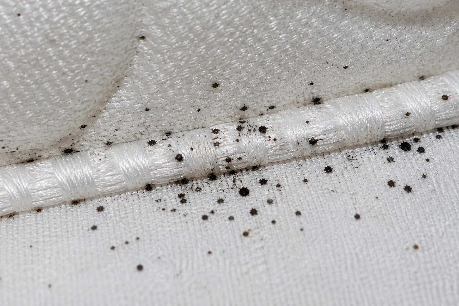 Taches de sang alignées sur drap blanc : motif caractéristique des piqûres de punaises de lit