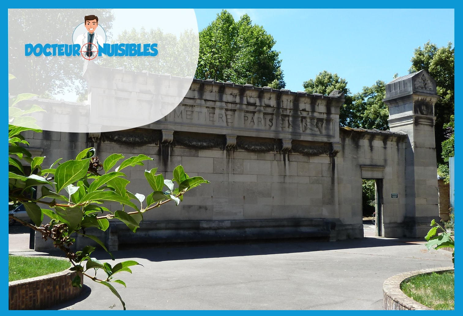 Dératisation à Bagneux - Rats, Mulots, Souris…
