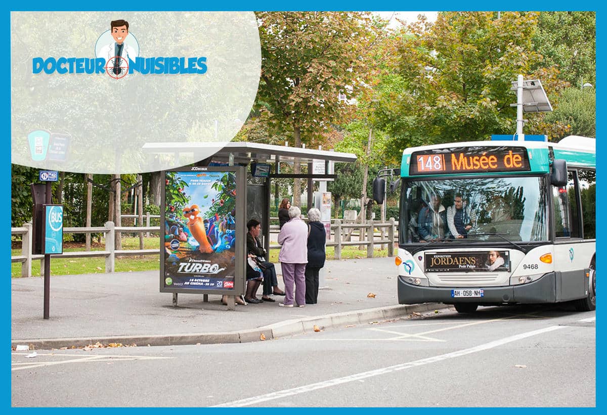 Désinsectisation à Le Blanc Mesnil - Puces, Frelons Asiatiques…