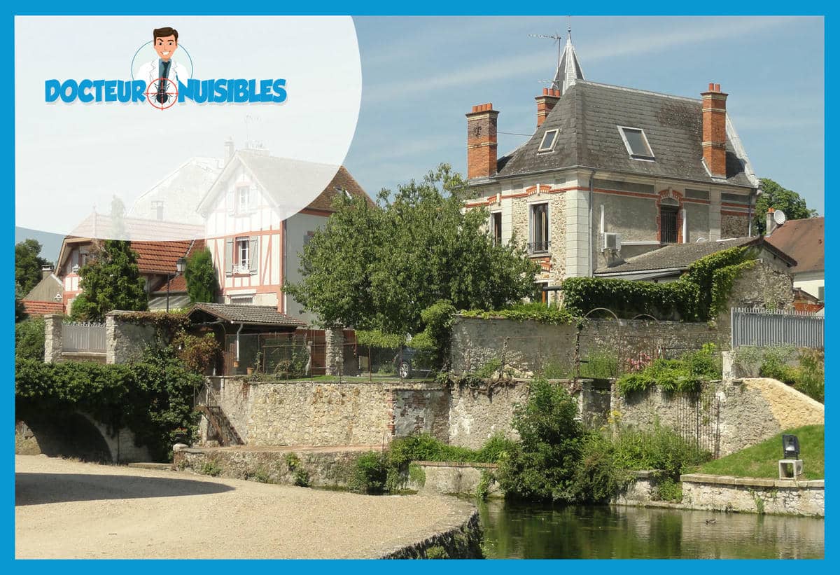 Dératisation à Brie Comte Robert - Souris, Rats, Mulots…