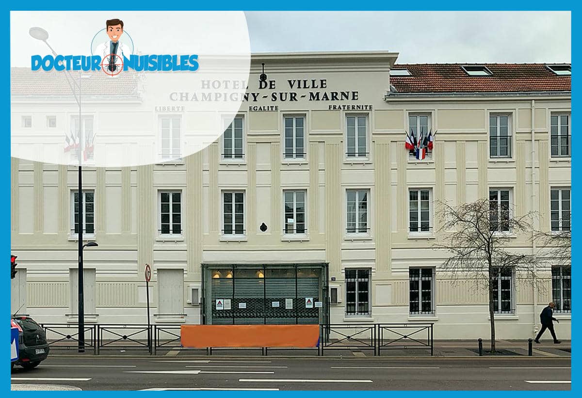 Dératisation à Champigny sur Marne - Souris, Rats, Mulots…