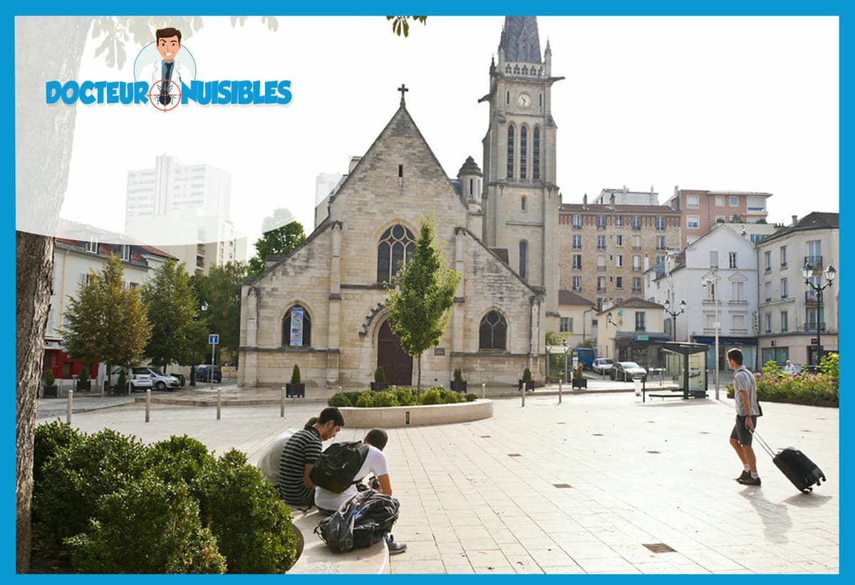 Désinsectisation à Clamart - Blattes, Guêpes, Insectes rampants…