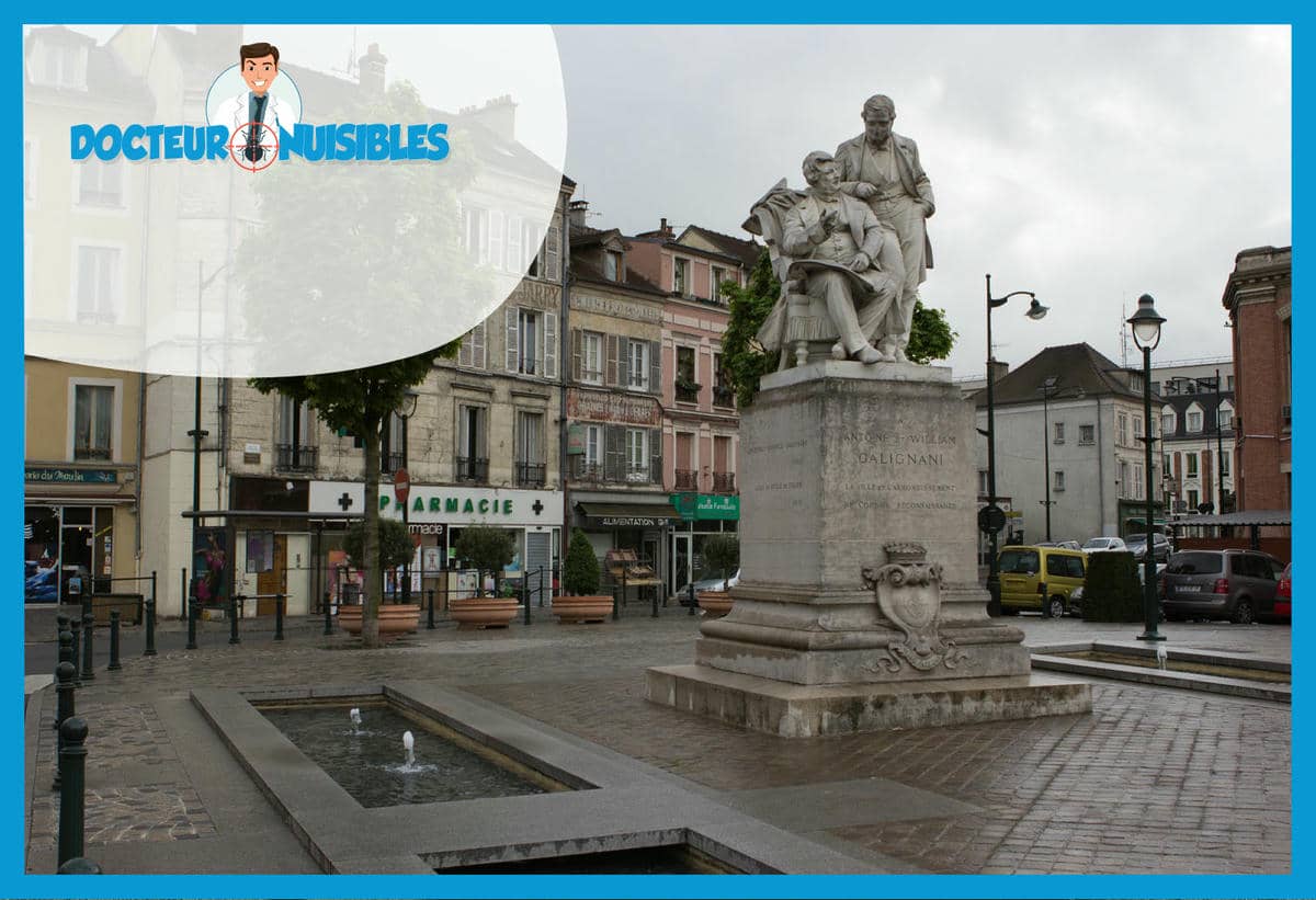Désinsectisation à Corbeil Essonnes - Cafards, Guêpes…
