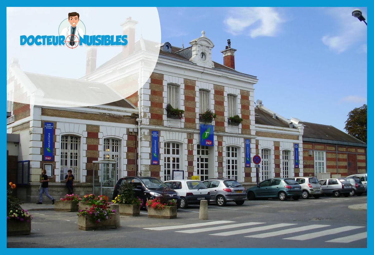 Dératisation à Cormeilles en Parisis - Souris, Rats, Mulots…