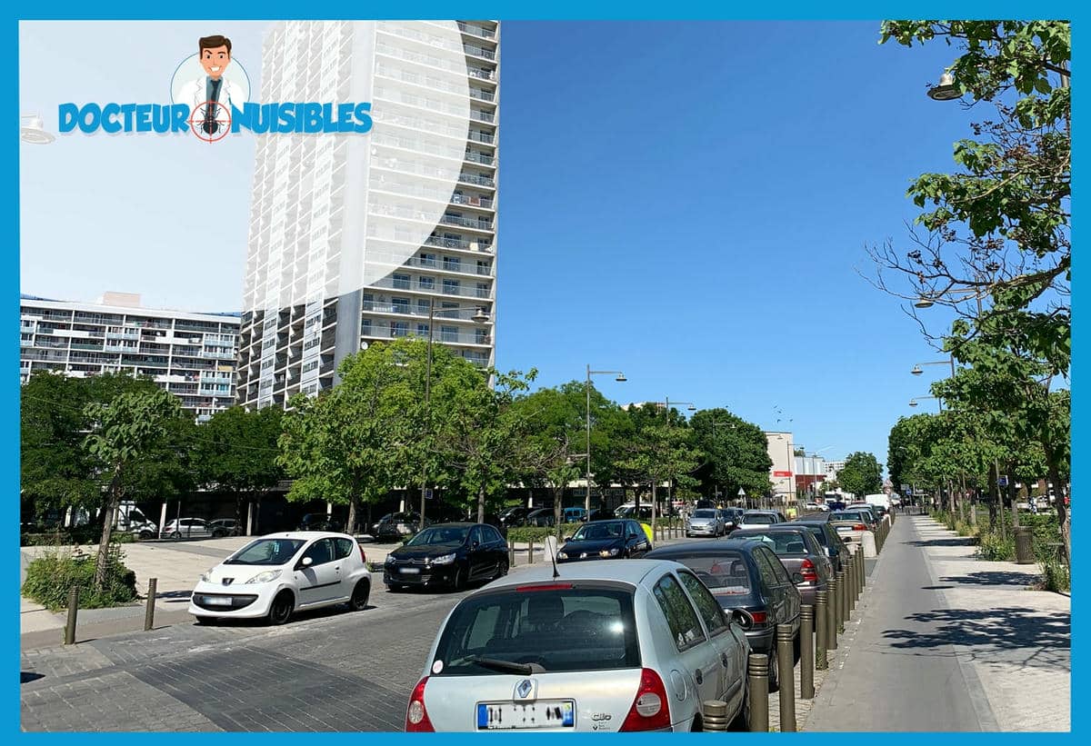 Dératisation à La Courneuve - Souris, Rats, Mulots…