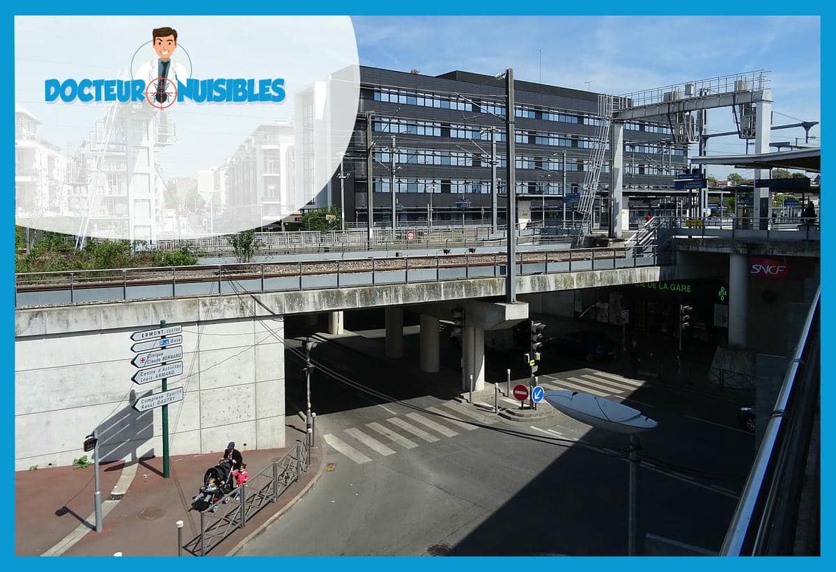 Désinsectisation à Ermont - Cafards, Frelons Asiatiques…
