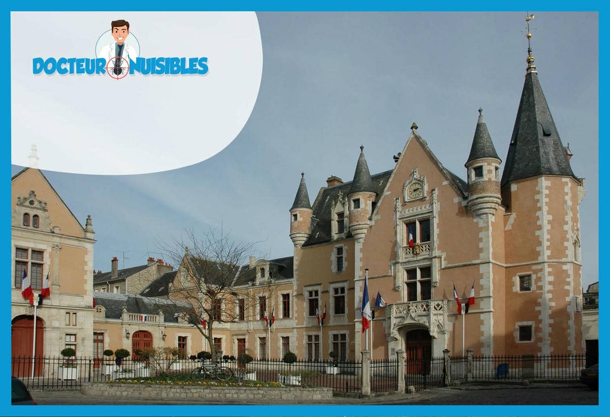 Désinsectisation à Étampes - Cafards, Frelons, Moustiques…