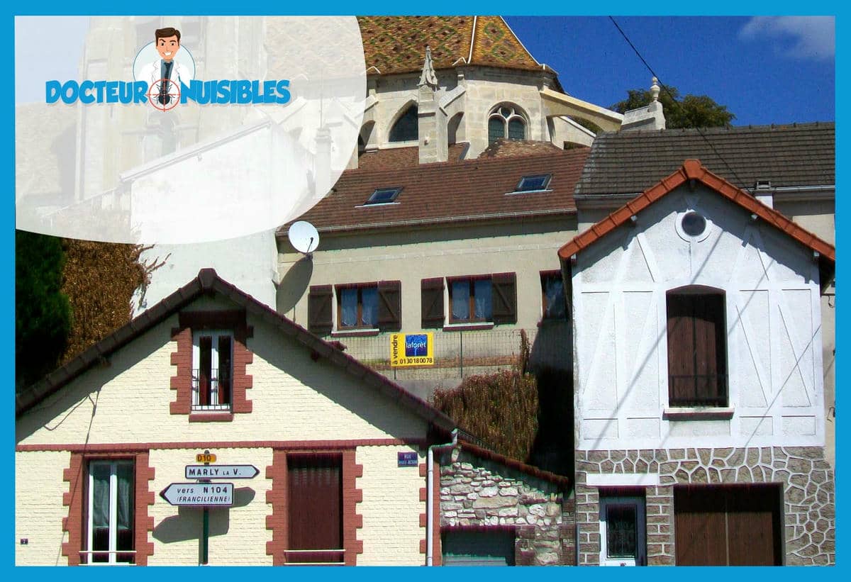Désinsectisation à Fontenay en Parisis - Blattes, Termites…