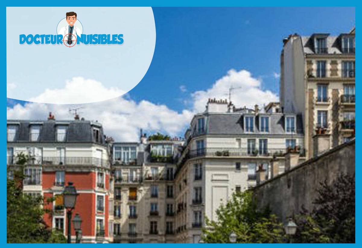 Dératisation à Gagny - Rats, Mulots, Souris…