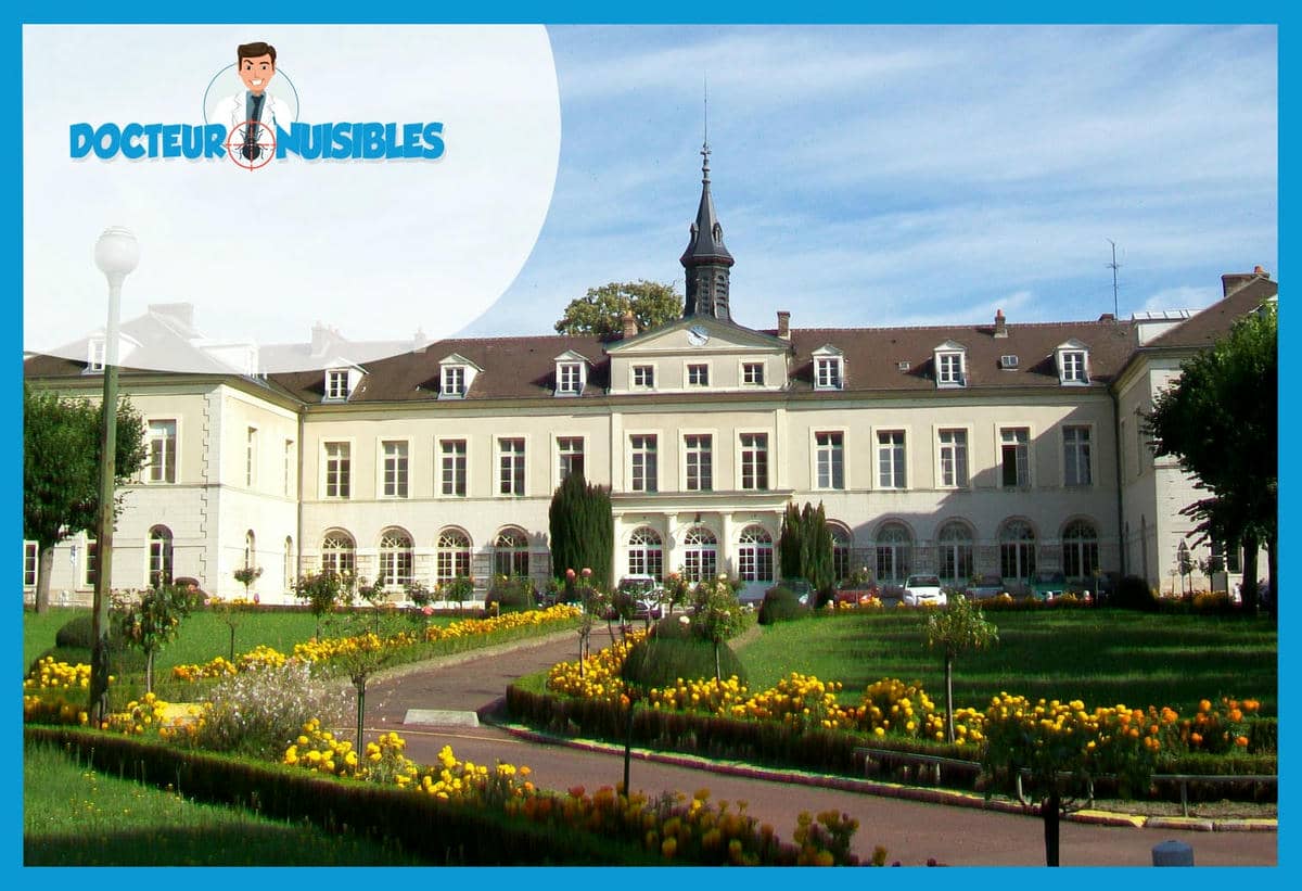 Dératisation à Gonesse - Rats, Mulots, Souris…