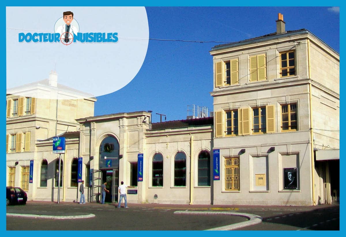 Dératisation à Goussainville - Rats, Mulots, Souris…