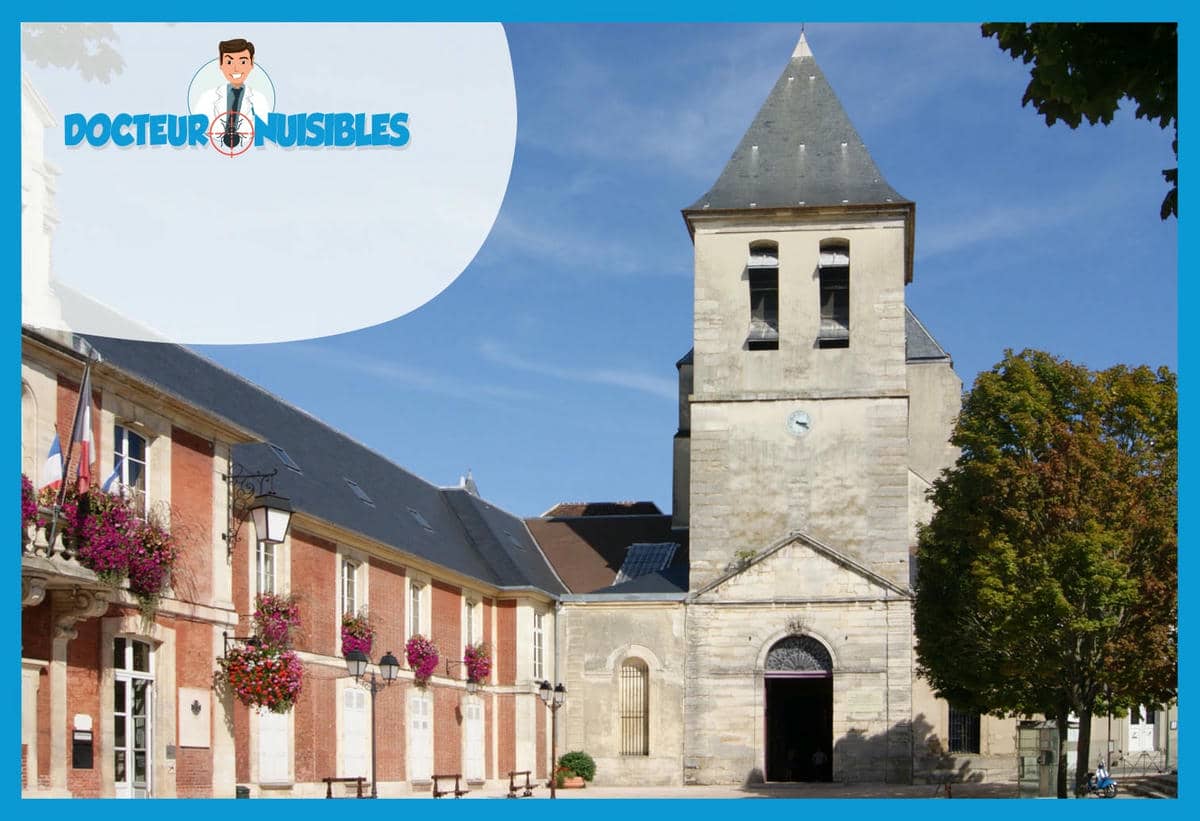 Dératisation à Lagny sur Marne - Rats, Mulots, Souris…