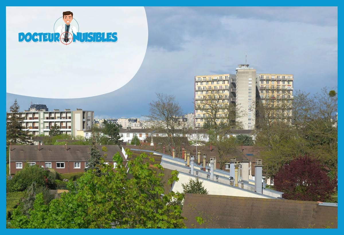 Punaises de lit à Le Mée sur Seine