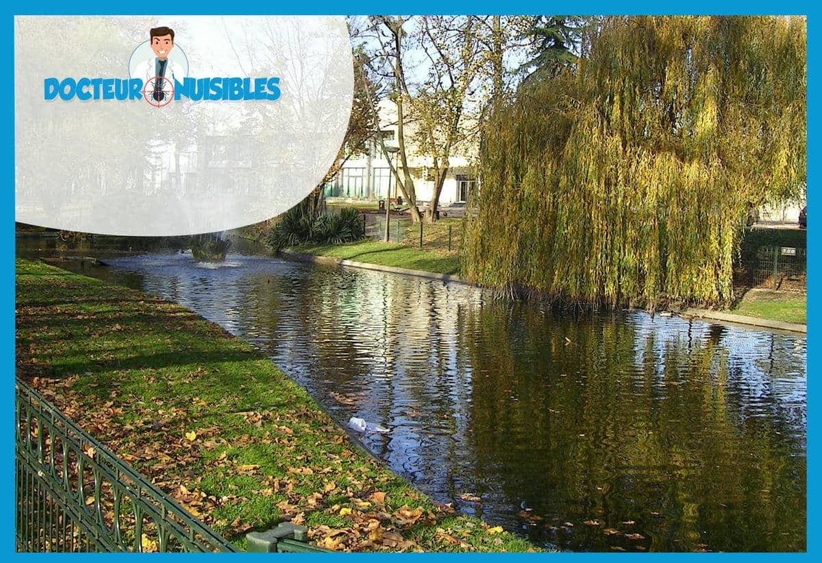 Punaises de lit à Livry Gargan