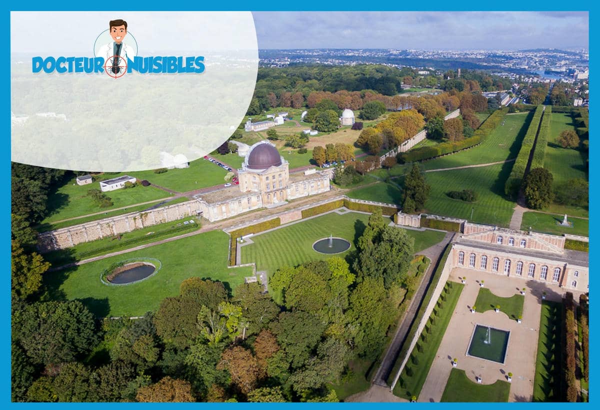 Désinsectisation à Meudon - Blattes, Frelons, Insectes volants…