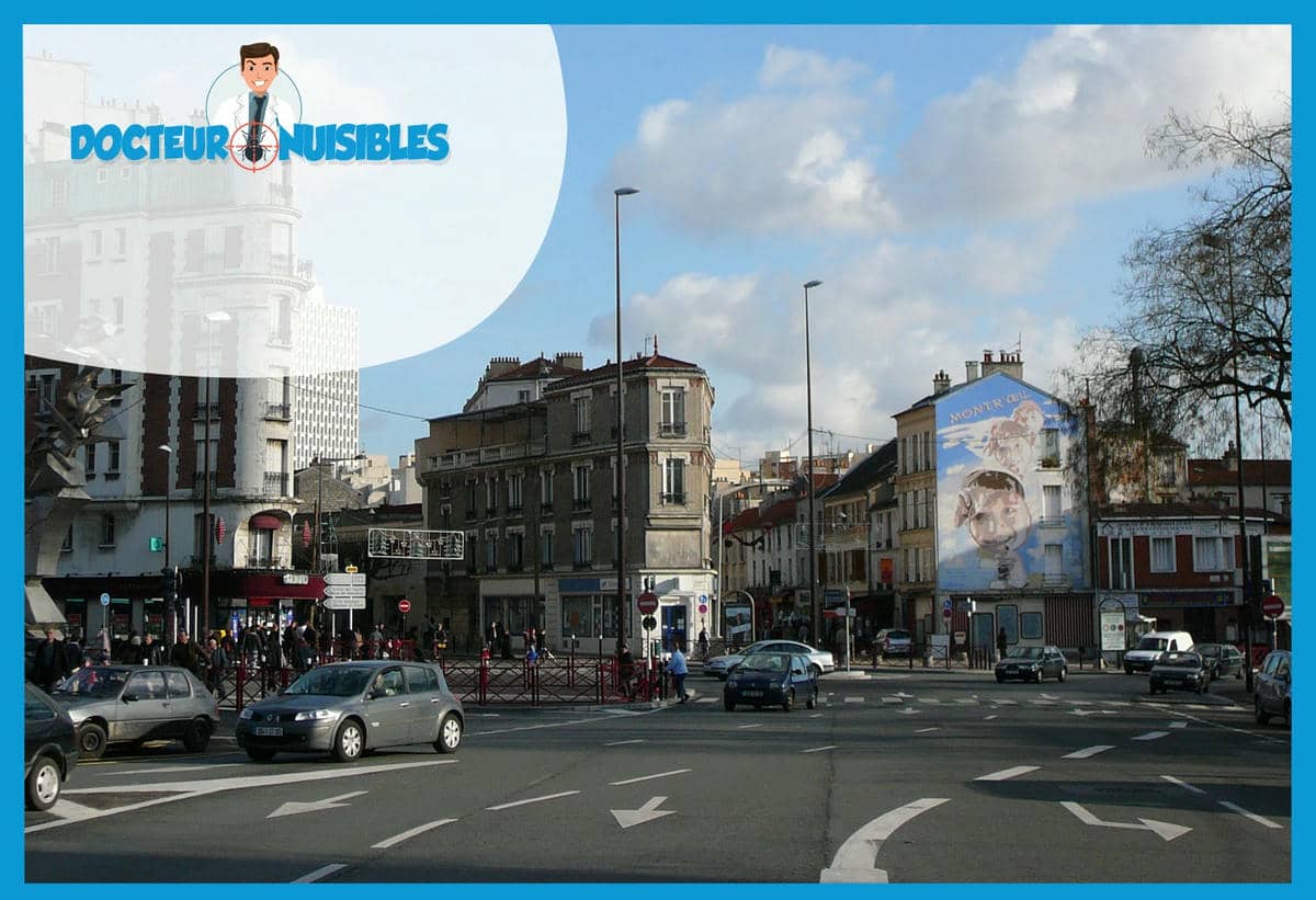 Dératisation à Montreuil - Rats, Mulots, Souris…