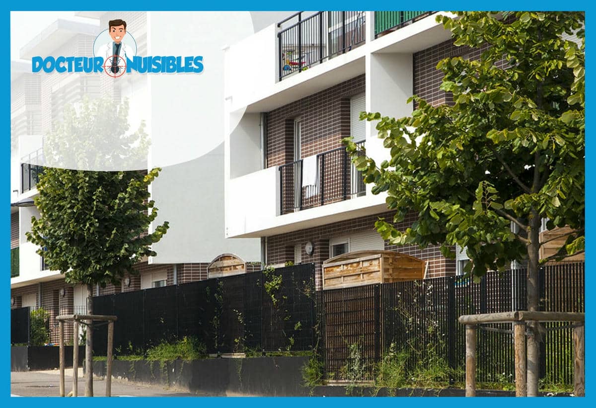 Désinsectisation à Mureaux - Puces, Frelons Asiatiques…