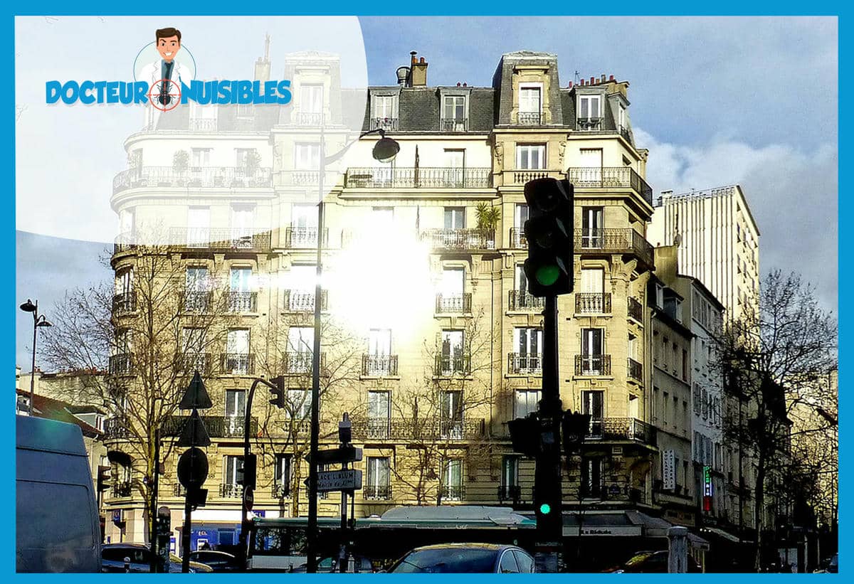 Dératisation à Paris 11 - Rats, Mulots, Souris…