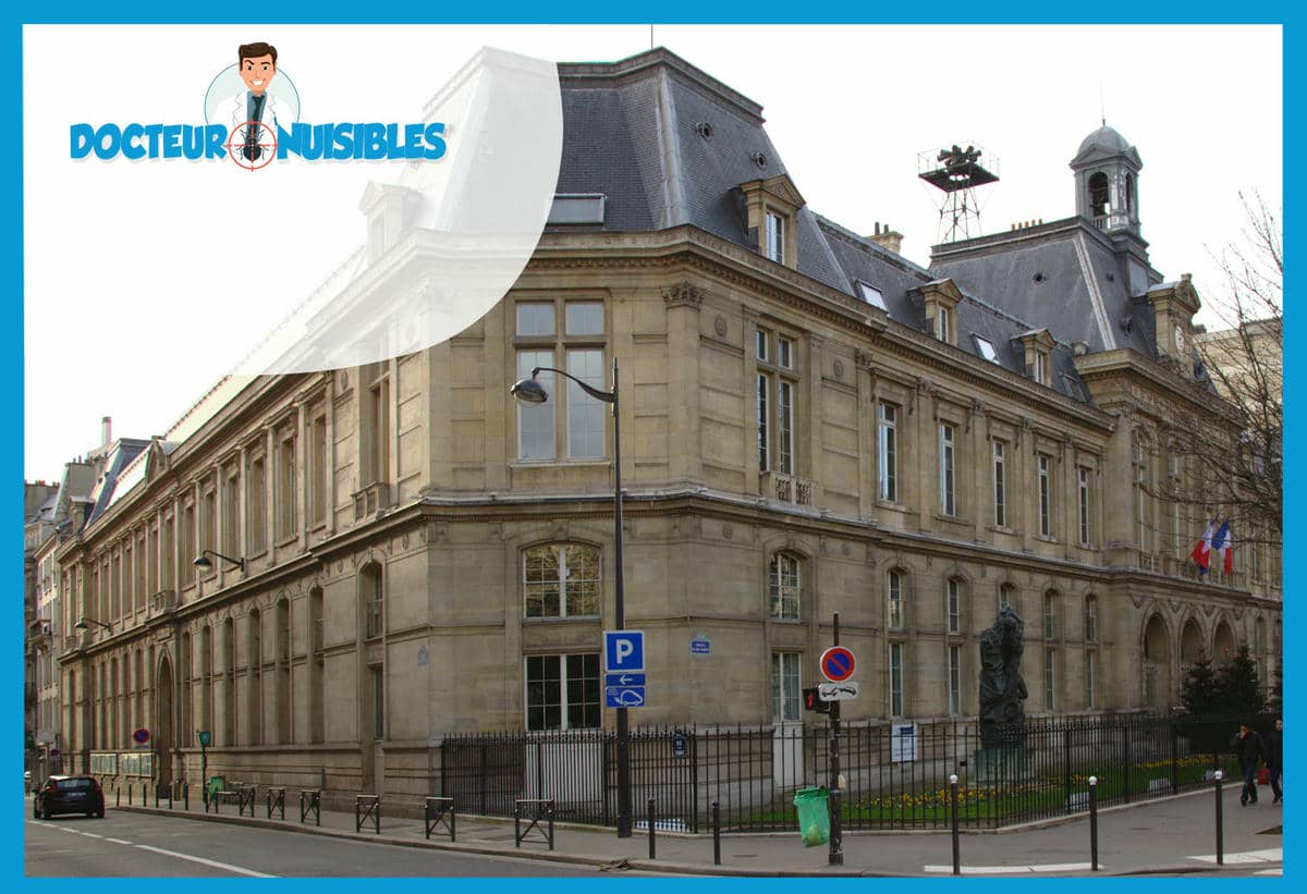 Désinsectisation à Paris 16 - Puces, Termites, Insectes volants…