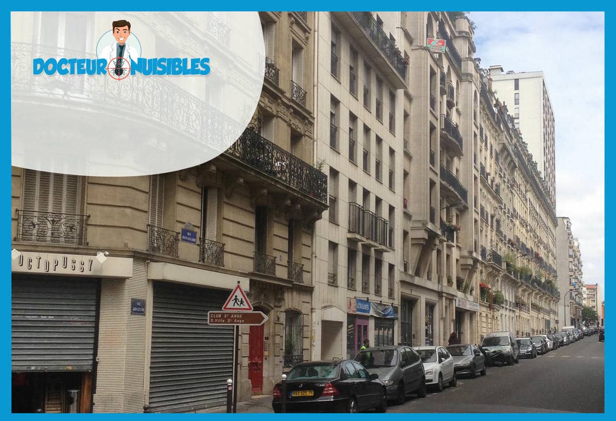 Punaises de lit à Paris 17