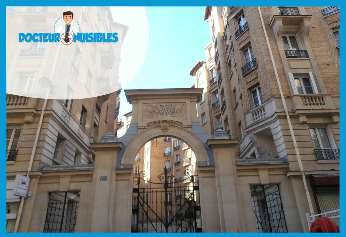 Punaises de lit à Paris 18