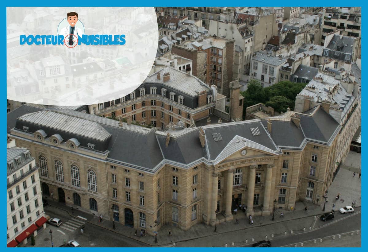 Désinsectisation à Paris 5 - Cafards, Frelons, Insectes volants…