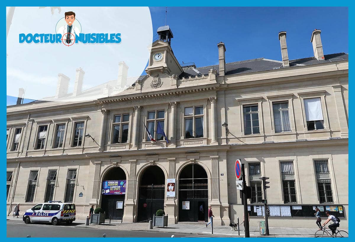 Désinsectisation à Paris 6 - Fourmis, Frelons Asiatiques…