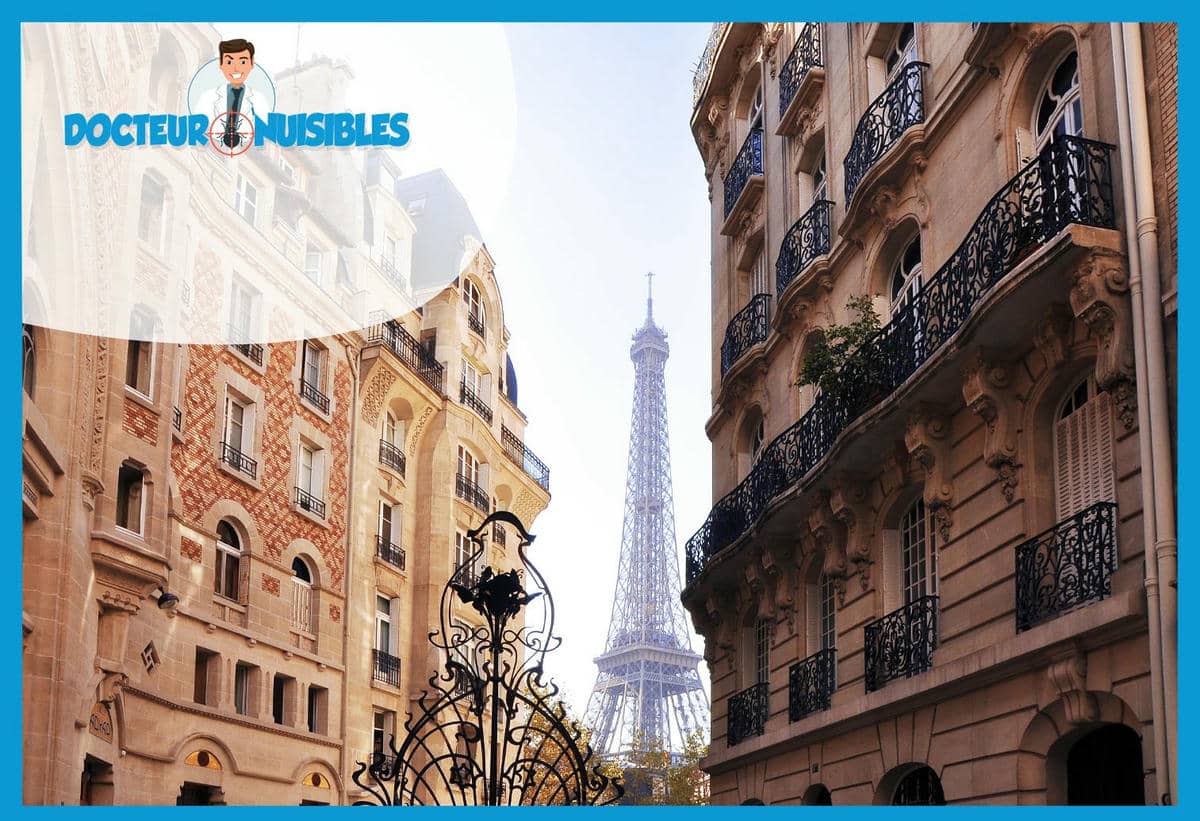 Dératisation à Paris 7 - Rats, Mulots, Souris…