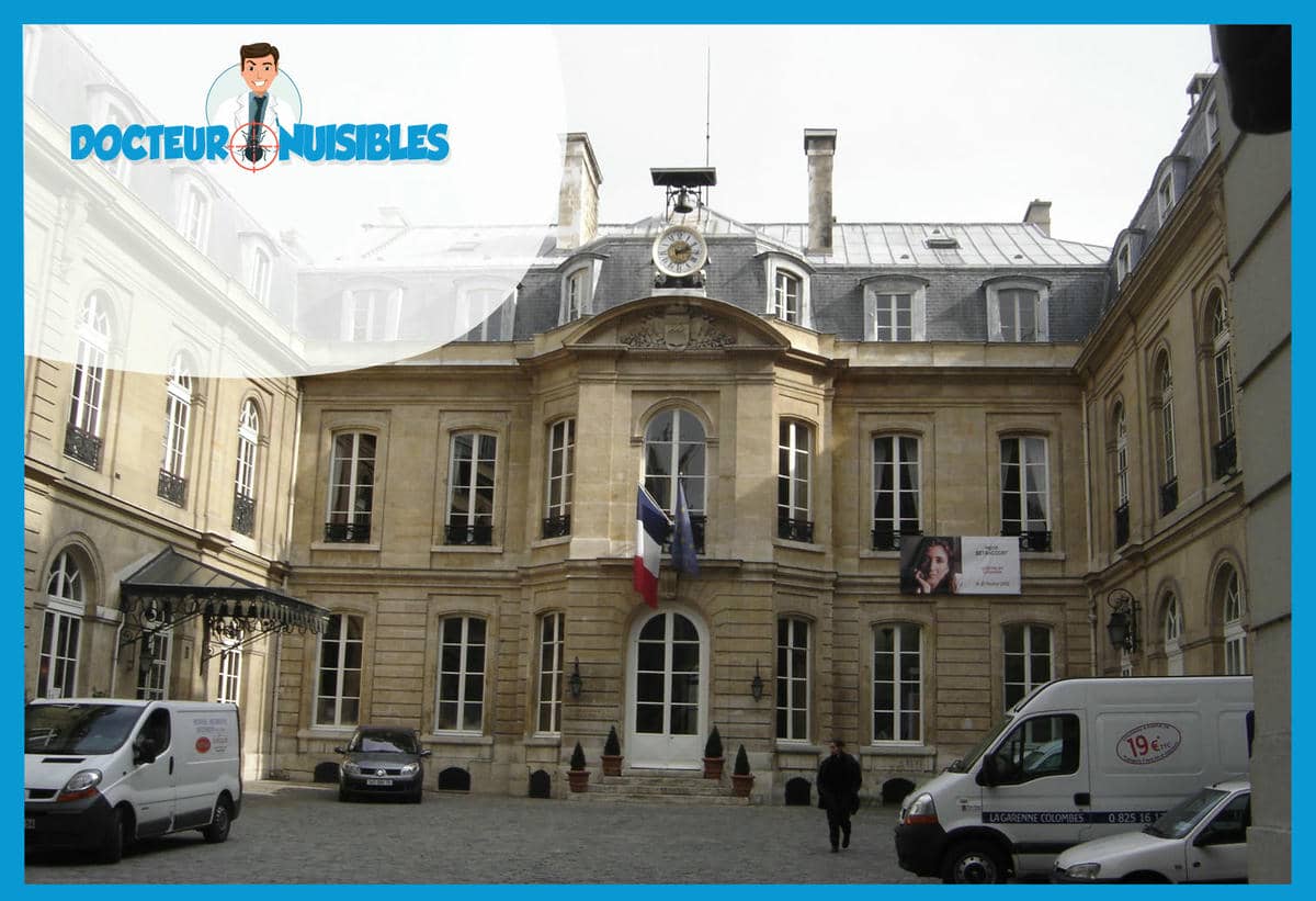 Désinsectisation à Paris 9 - Puces, Termites, Insectes volants…