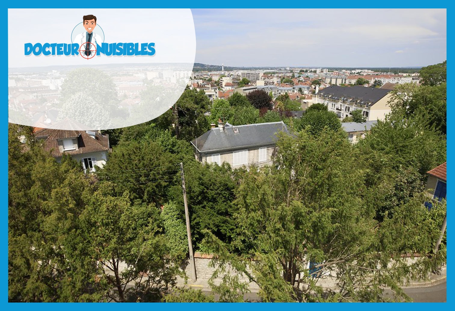Dératisation à Poissy - Rats, Mulots, Souris…