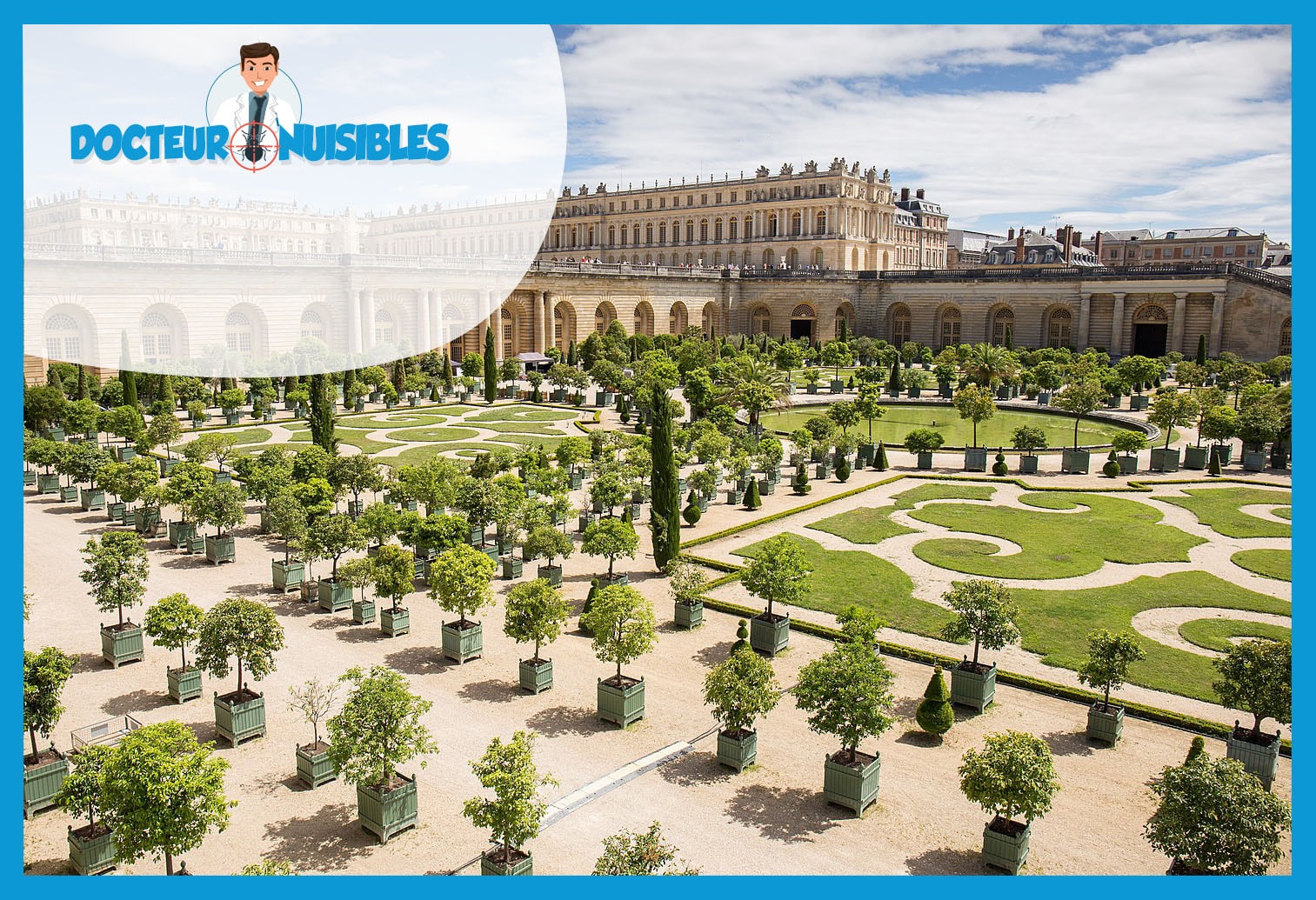 Dératisation à Versailles - Souris, Rats, Mulots…